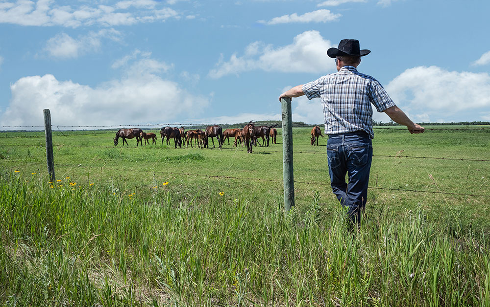 Ranch Management