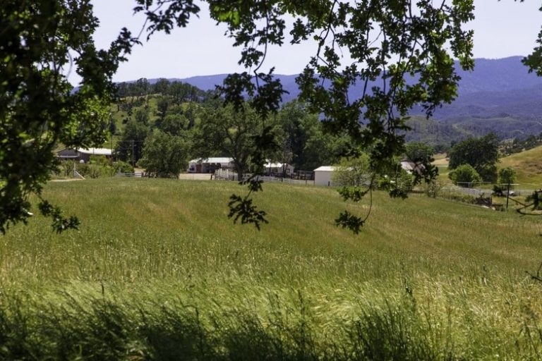 Properties Archives Martinez, Ranch Management & Real State