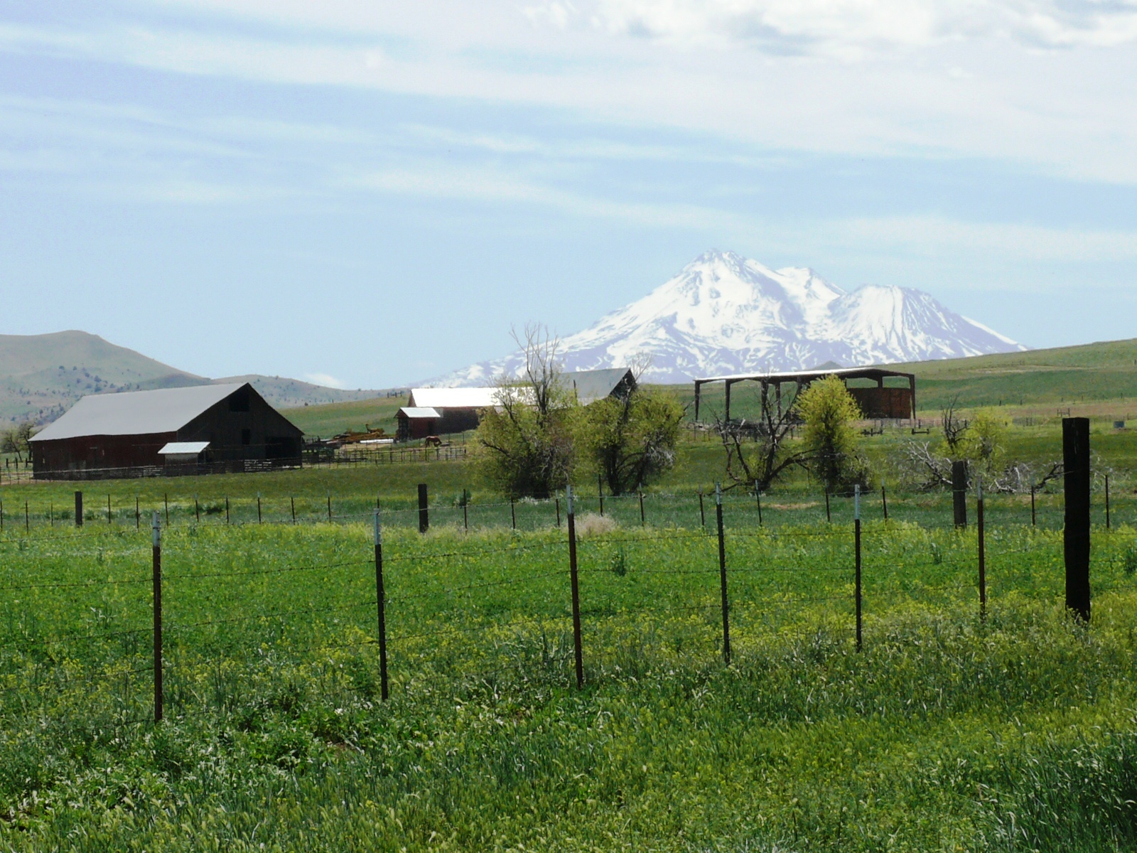 Willow Creek Ranch