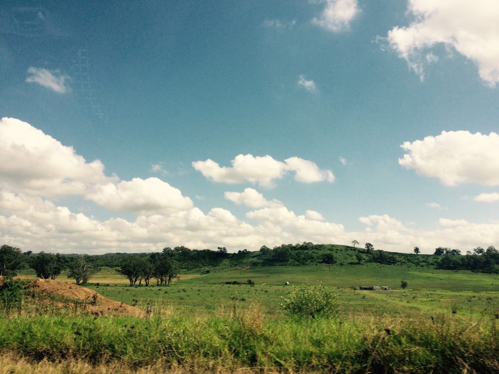 types of ranching 